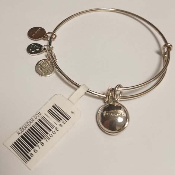 ALEX AND ANI CRYSTAL BIRTHSTONE BRACELET - Picture 4 of 4